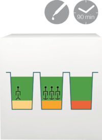 lab-procedure-41 (Demo) lab-procedure-41 (Demo)