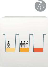 lab-procedure-52 (Demo) lab-procedure-52 (Demo)