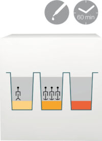 lab-procedure-62 (Demo) lab-procedure-62 (Demo)