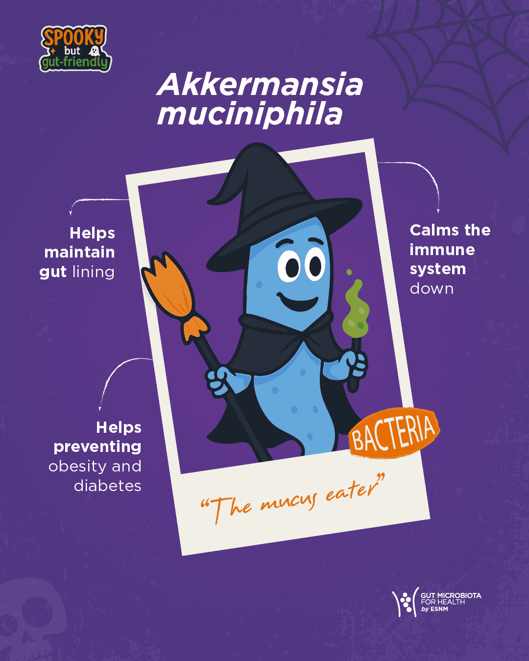 Akkermansia-muciniphila