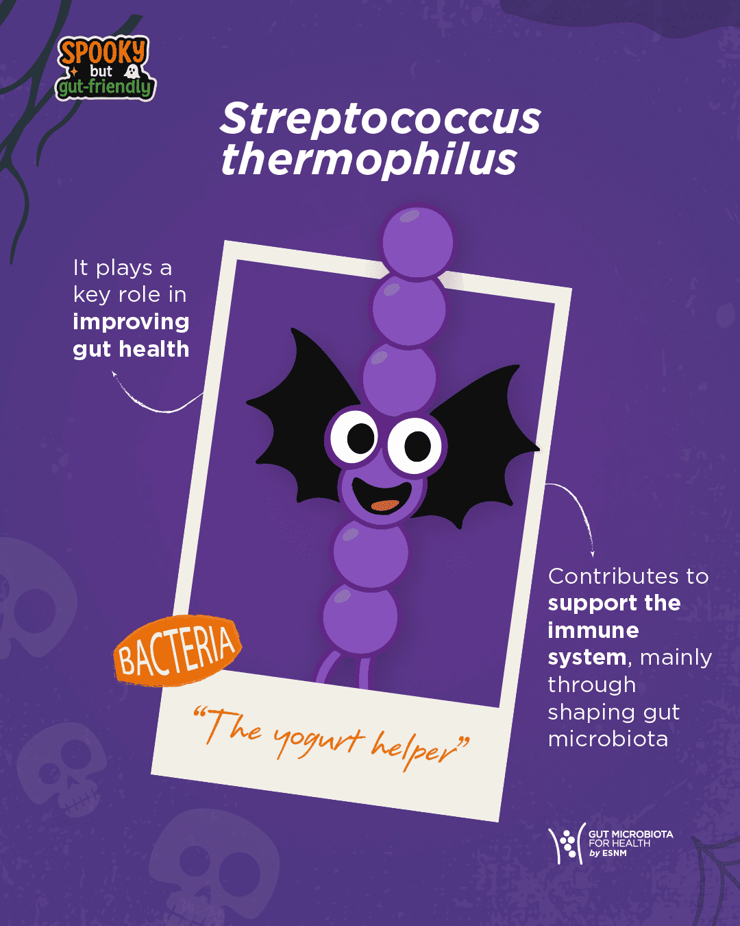 Streptococcus-thermophilus