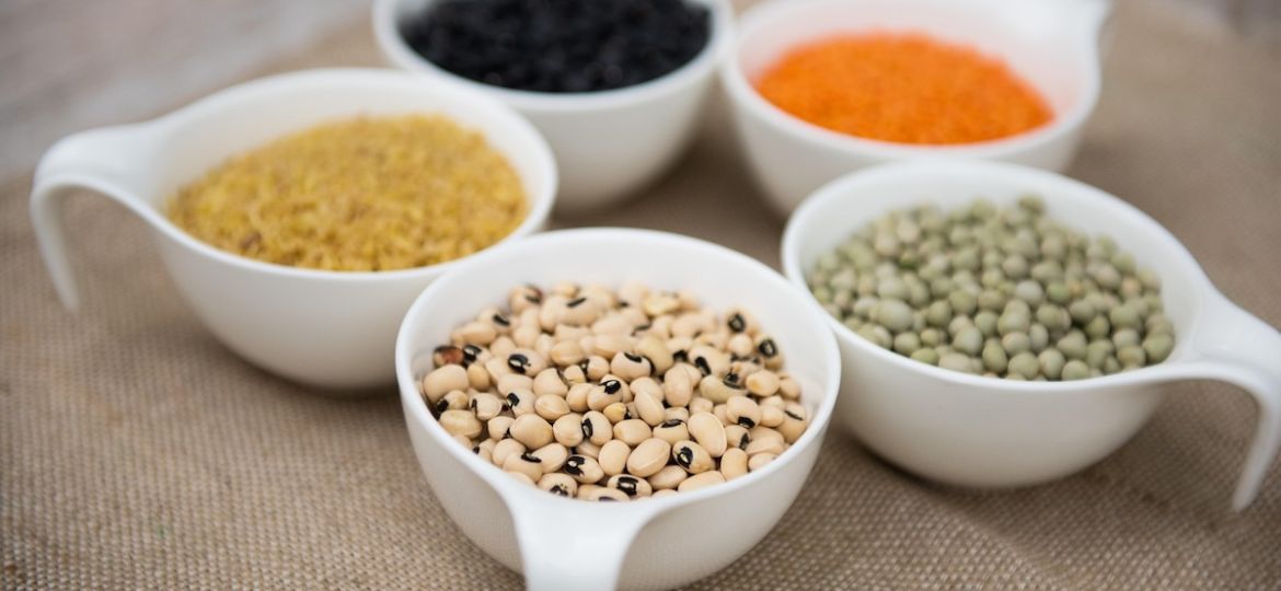Illustration af tarmflora og kostfibre, som viser sammenhængen mellem cøliaki, mikrobiomet og en glutenfri kost.