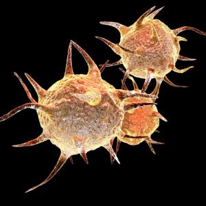 Parasites Profile